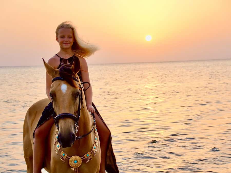Makadi Bay: Horse Riding in Desert & Sea w Guide + Transfers - Meeting your horse before the trail