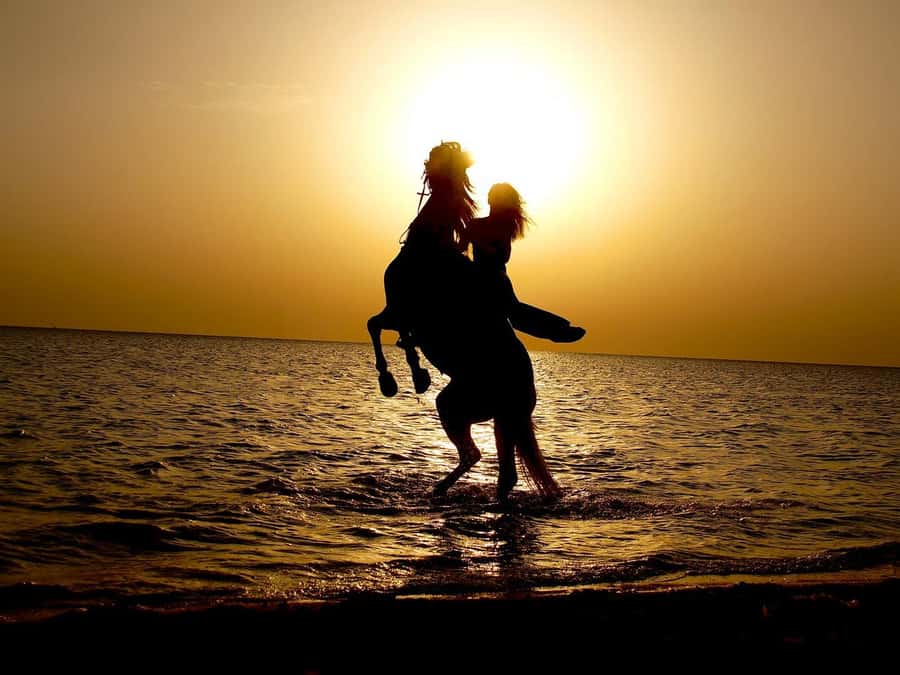 Makadi Bay: Horse Riding in Desert & Sea w Guide + Transfers - Riding through the Makadi Bay desert