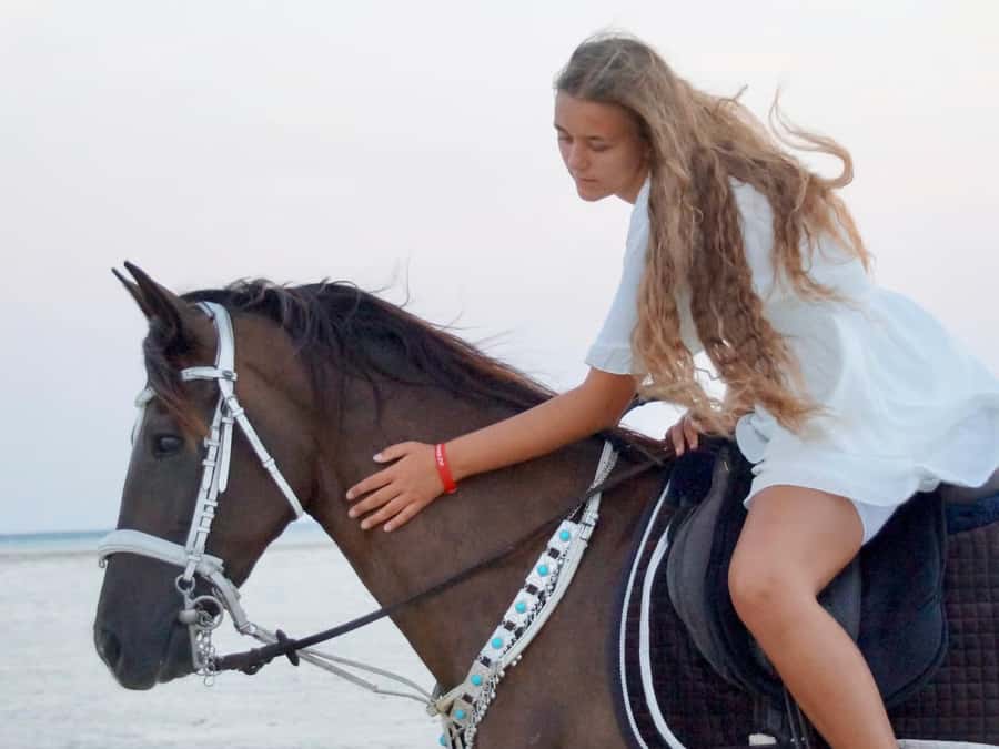 Makadi Bay: Horse Riding in Desert & Sea w Guide + Transfers - Along the Red Sea shore