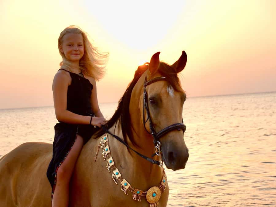 Makadi Bay: Horse Riding in Desert & Sea w Guide + Transfers - What the $35 price really includes