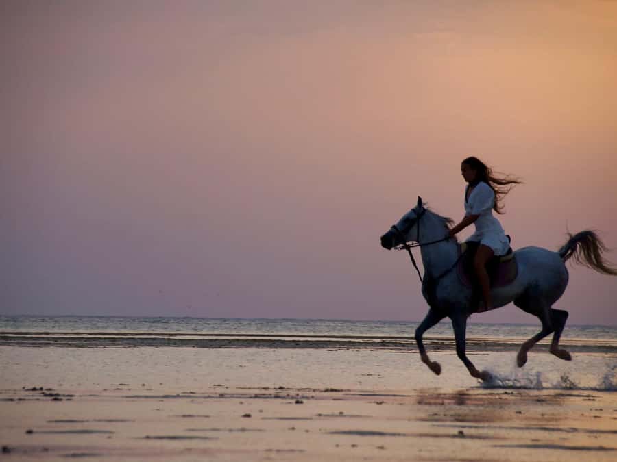 Makadi Bay: Horse Riding in Desert & Sea w Guide + Transfers - Safety, helmets, and horse welfare