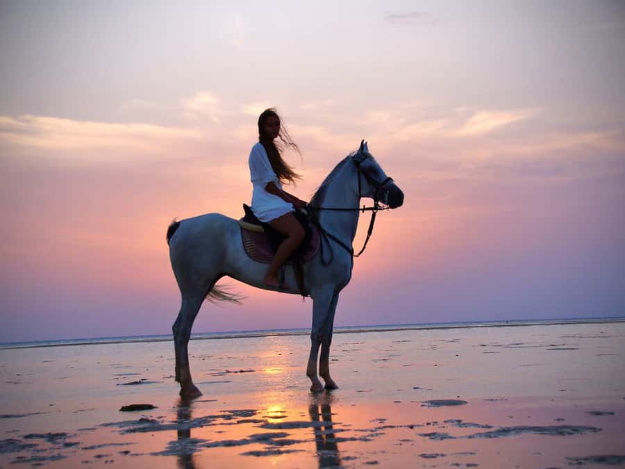 Makadi Bay: Horse Riding in Desert & Sea w Guide + Transfers - Who will enjoy this ride most