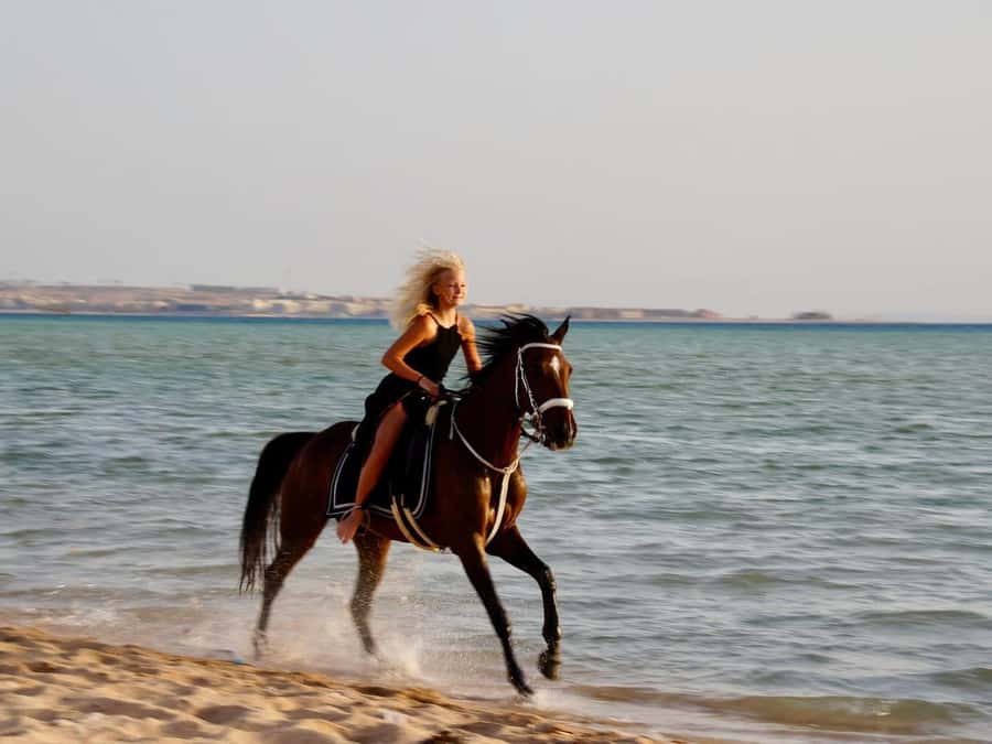Makadi Bay: Horse Riding in Desert & Sea w Guide + Transfers - From Hurghada hotel lobby to Makadi Bay