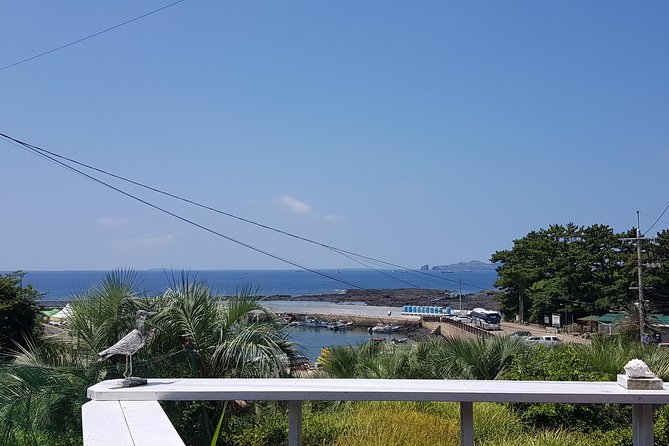 Making Jeju Pony Doll at Peaceful Seaside cafe - Is $30 per person a good value?