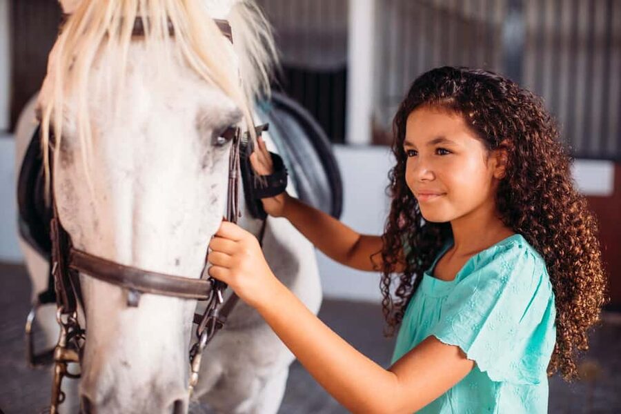 Malaga – 1-hour Horseback Riding Tour with a Local Guide through the Guadalhorce Valley - Key Points Before You Book