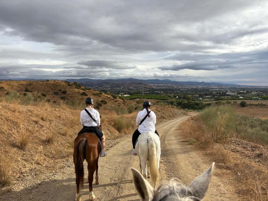 Malaga – 1-hour Horseback Riding Tour with a Local Guide through the Guadalhorce Valley - Is $59 Good Value for One Hour?
