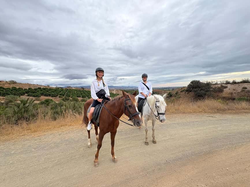Malaga – 1-hour Horseback Riding Tour with a Local Guide through the Guadalhorce Valley - Who Will Enjoy This Horseback Ride Most?