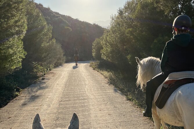 Malaga - guided horseback riding - Key points to know before booking