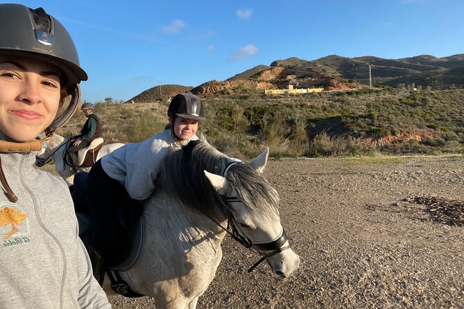Malaga - guided horseback riding - Getting the right horse and learning the basics