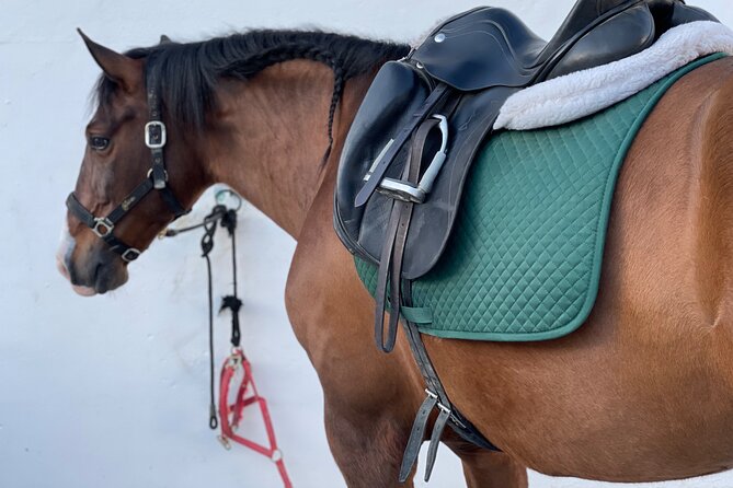 Malaga - guided horseback riding - How much guidance should you expect?
