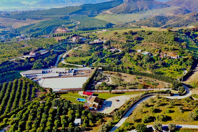 Malaga - guided horseback riding - Is $45.66 a fair price for one hour?