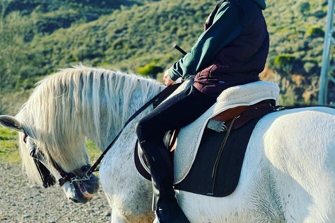 Malaga - guided horseback riding - Who will enjoy this ride most?