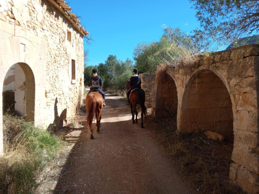 Mallorca: Authentic Horseback Ride in Rural Mallorca - What the feedback tells me about the experience