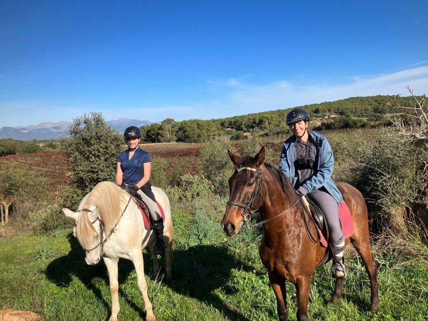 Mallorca: Authentic Horseback Ride in Rural Mallorca - Why this ride feels different from a basic trail outing