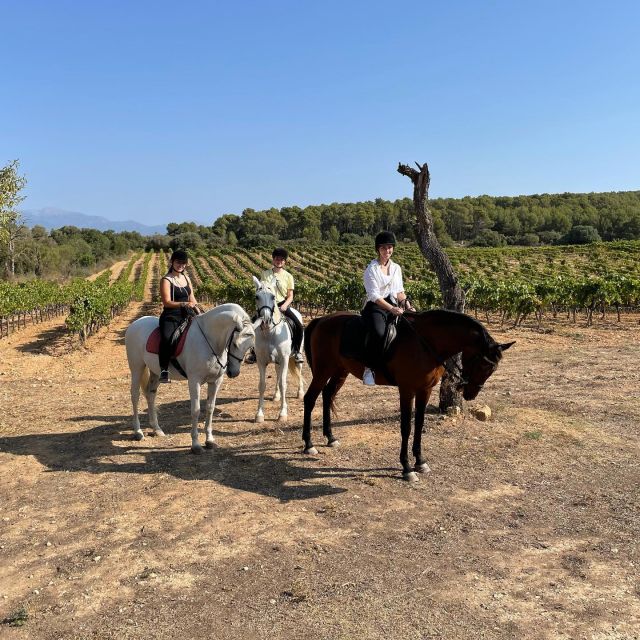 Mallorca: Authentic Horseback Ride in Rural Mallorca - Riding through the Randa Valley