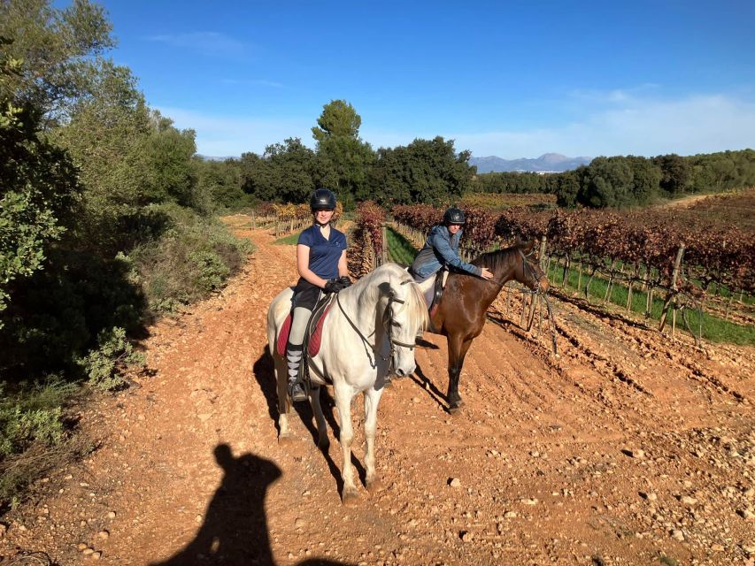 Mallorca: Authentic Horseback Ride in Rural Mallorca - What the countryside adds to the ride