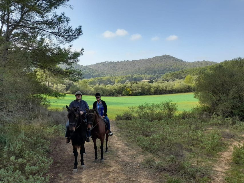 Mallorca: Authentic Horseback Ride in Rural Mallorca - Horse care is part of the four-hour visit