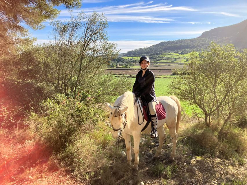 Mallorca: Authentic Horseback Ride in Rural Mallorca - Getting to the stable and planning your day
