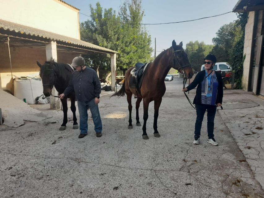 Mallorca: Authentic Horseback Ride in Rural Mallorca - Who will enjoy this most