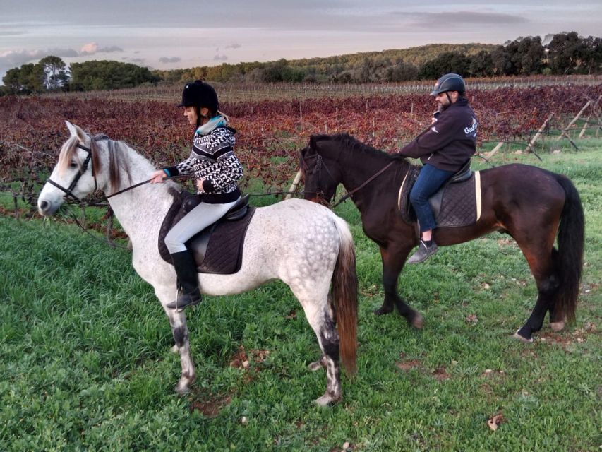 Mallorca: Authentic Horseback Ride in Rural Mallorca - Your first hour: meeting the horses and learning the basics