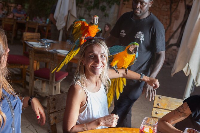Mallorca Evening Tour: Horseback Riding, Dinner and Dance - What the Ride Feels Like on the Ground