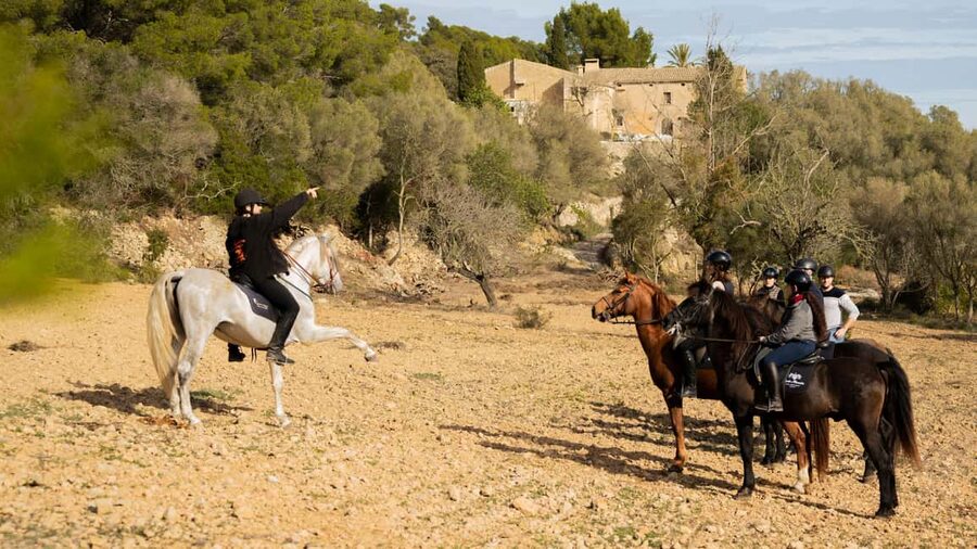 Mallorca: Guided Horseback Ride in Randa Valley - Key points to know before booking