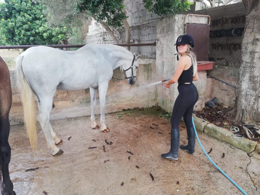 Mallorca: Guided Horseback Ride in Randa Valley - Practical details that affect your day