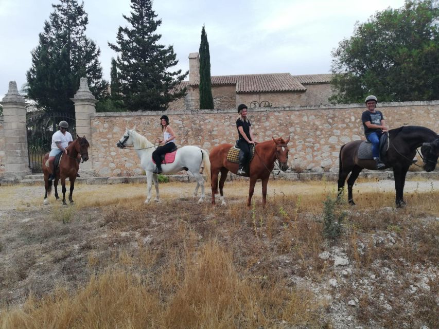 Mallorca: Guided Horseback Ride in Randa Valley - Why the Randa Valley makes a good riding setting