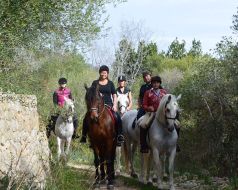 Mallorca: Guided Horseback Ride in Randa Valley - The arena lesson builds confidence