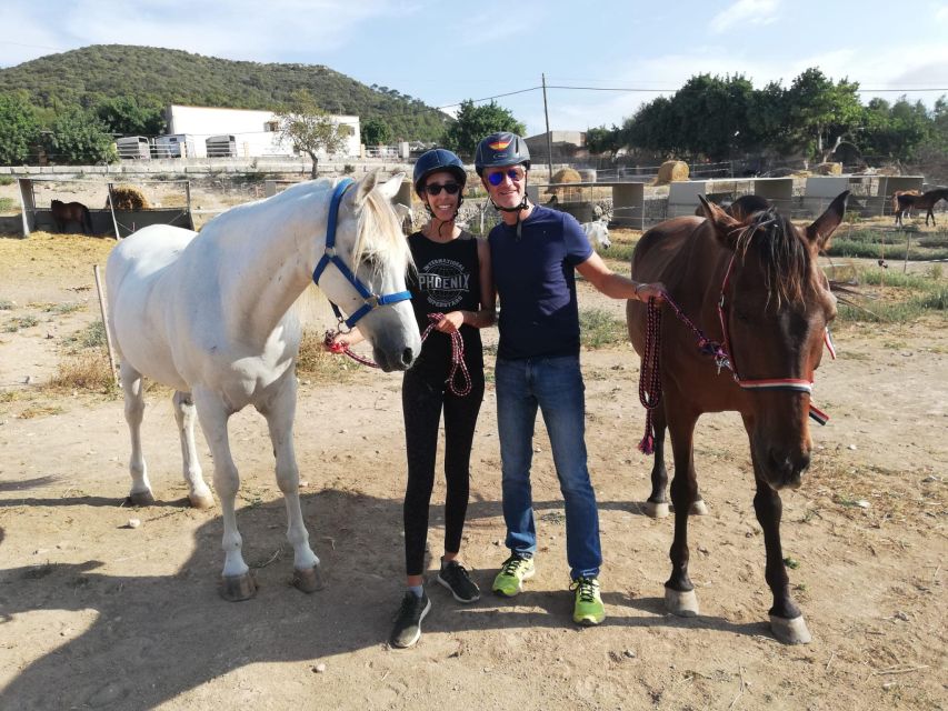 Mallorca: Guided Horseback Ride in Randa Valley - The horses and the human side of the ride