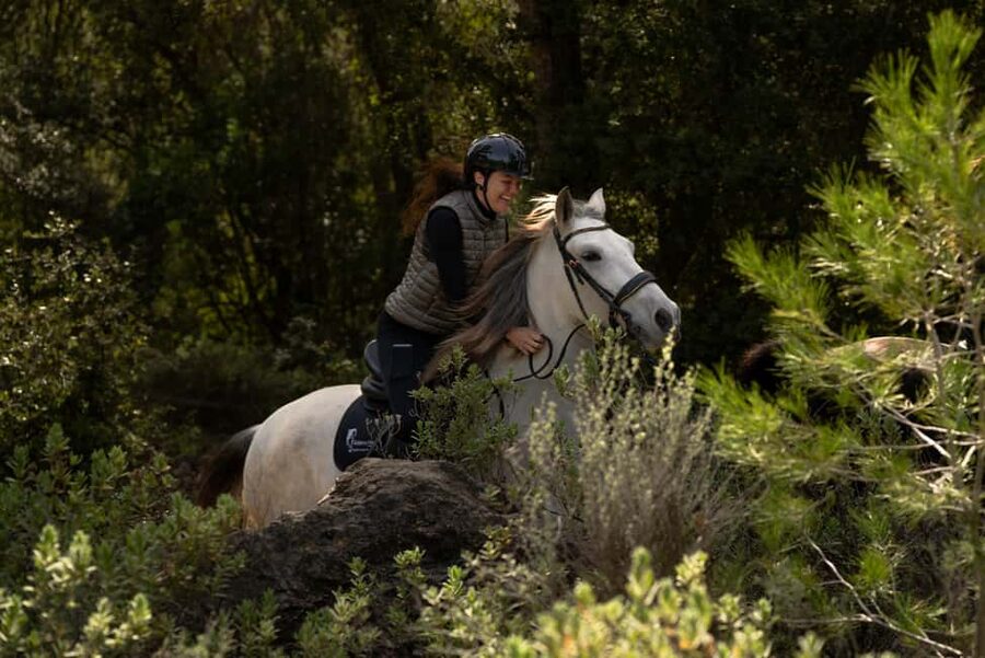 Mallorca: Guided Horseback Ride in Randa Valley - Is $116 fair for 150 minutes?