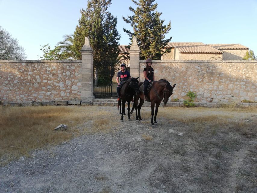 Mallorca: Guided Horseback Ride in Randa Valley - Who should book this Randa Valley ride?
