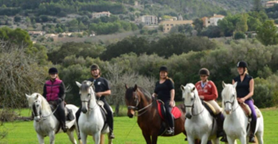 Mallorca: Guided Horseback Ride in Randa Valley - Your first minutes at Mallorca Horses