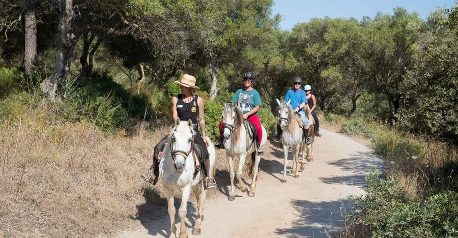 Mallorca: Horseback Riding Excursion and Wine Tasting - A horse ride with a Mallorcan table at the end