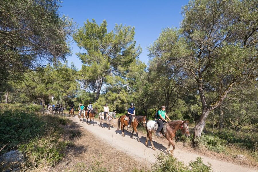 Mallorca: Horseback Riding Excursion and Wine Tasting - Timing, cancellation, and practical details