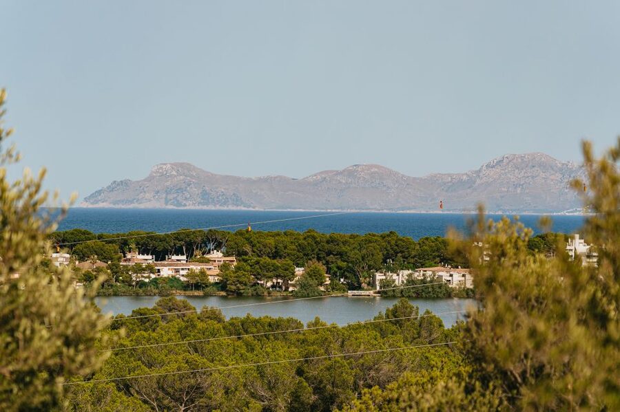 Mallorca: Horseback Riding Experience with Food Options - What the horses and safety arrangements are like