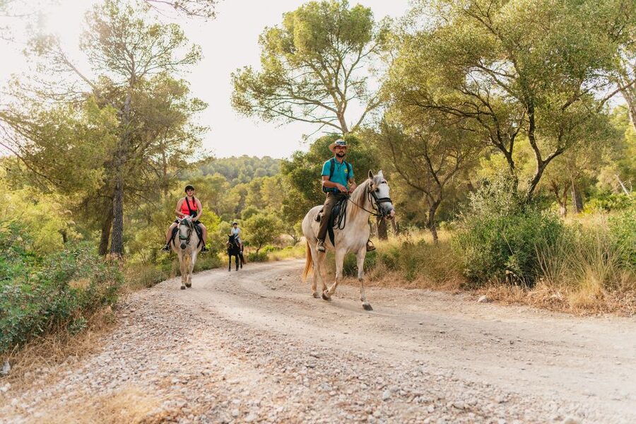 Mallorca: Horseback Riding Experience with Food Options - Adding Mallorcan brunch after the ride
