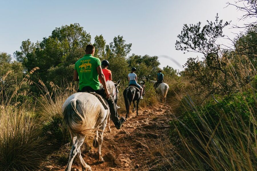Mallorca: Horseback Riding Experience with Food Options - Choosing the handmade burger lunch
