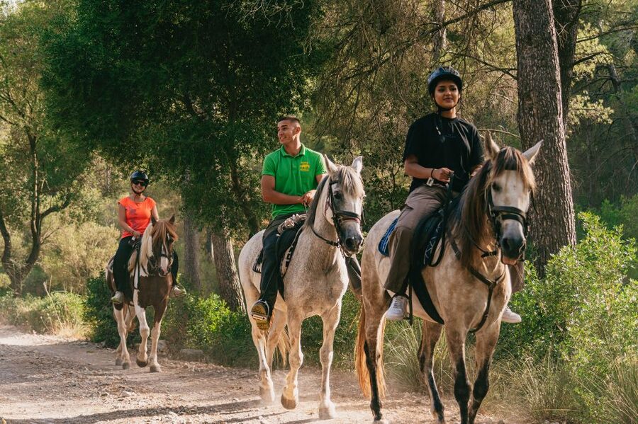 Mallorca: Horseback Riding Experience with Food Options - Is $42 a good price?