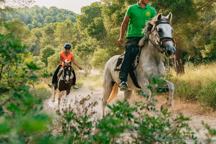 Mallorca: Horseback Riding Experience with Food Options - Choosing one hour or two around Alcudia Bay