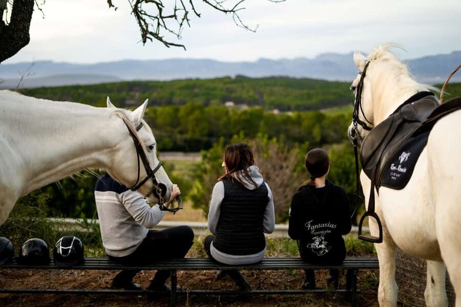 Mallorca: Sunset Horseback Ride with Drinks - The arena lesson is useful for first-time riders