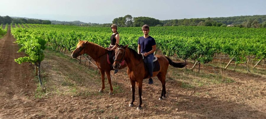 Mallorca: Sunset Horseback Ride with Drinks - Is $182 a fair price?