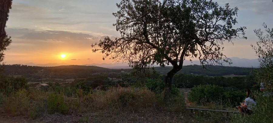 Mallorca: Sunset Horseback Ride with Drinks - Should you book Mallorca Horses?