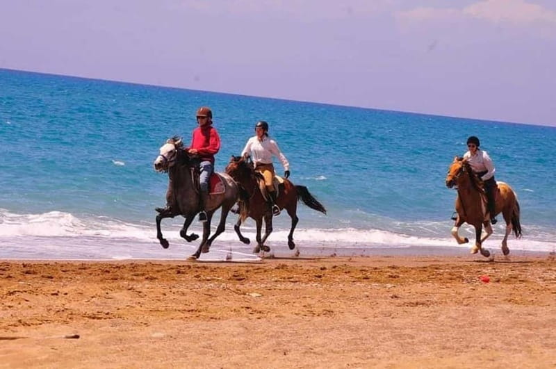 Manavgat Side: Horse Riding on the Beach and in the Forest - A useful ride for first timers