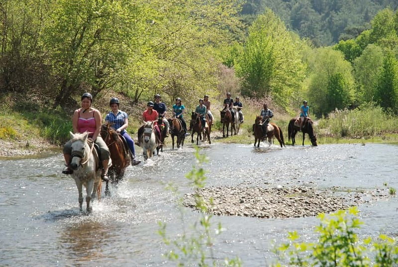 Marmaris: Horse Riding & Safari with Hotel Transfer - Choosing your horse and getting ready