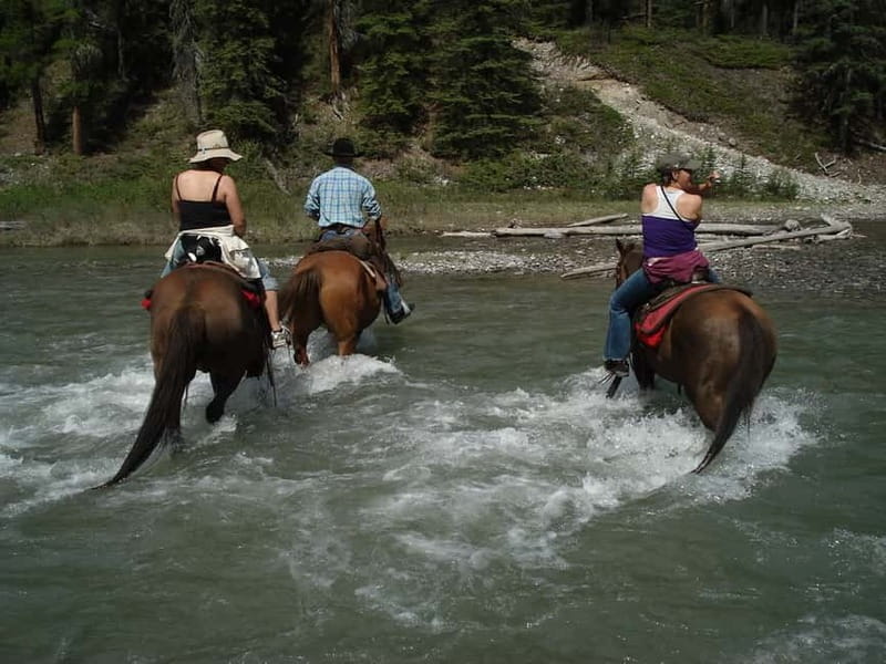 Marmaris: Horse Riding & Safari with Hotel Transfer - The river crossing is the star