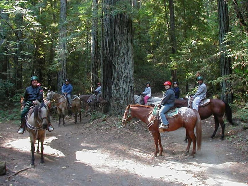 Marmaris: Horse Riding & Safari with Hotel Transfer - Families, nervous riders, and experienced horse people