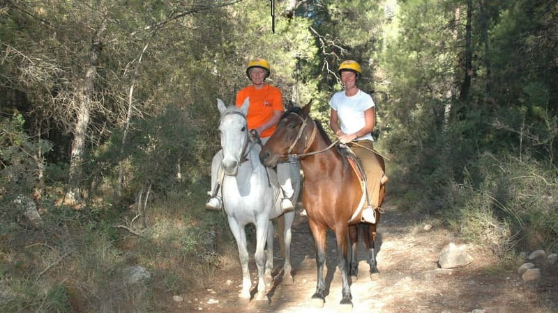Marmaris: Horse Riding & Safari with Hotel Transfer - Through pine forest and orange groves
