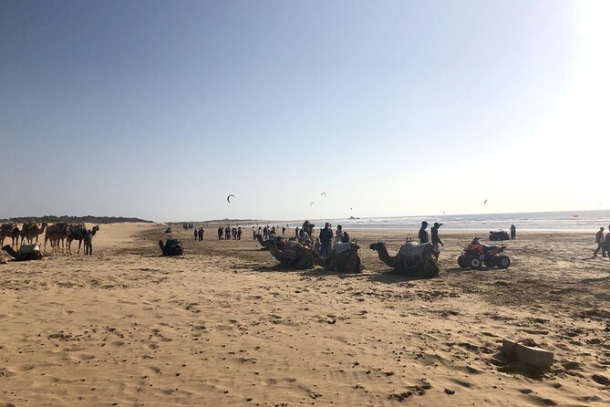 Marrakech Day Trip to Essaouira - Horseback, Camel Ride, ATV on the Beach - Key points to know before booking