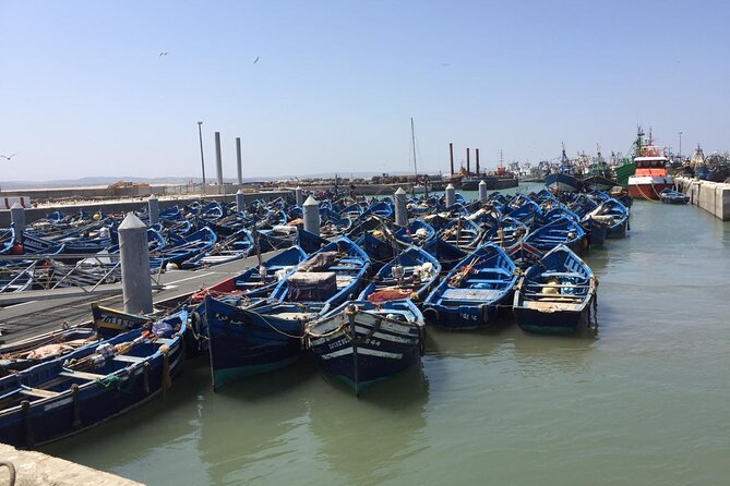 Marrakech Day Trip to Essaouira - Horseback, Camel Ride, ATV on the Beach - Choosing between a camel and horse ride